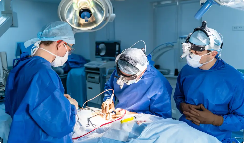 Surgical Team at Work